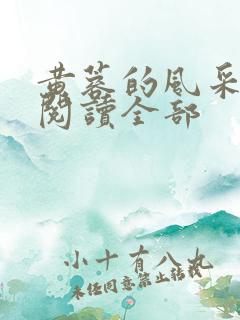 黄蓉的风采小说阅读全部