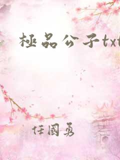 极品公子txt