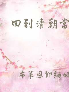 回到清朝当总统