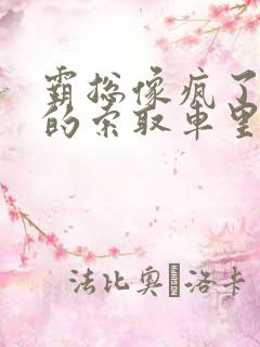 霸总像疯了一样的索取车里