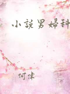 小说男妇科医生