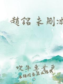 赵铭 未删减