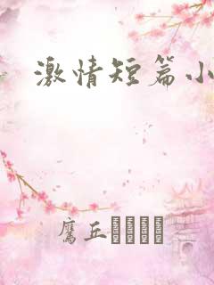 激情短篇小说网