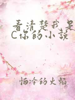 看清楚我是怎么C你的小说