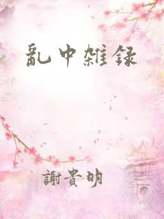 乱中杂录