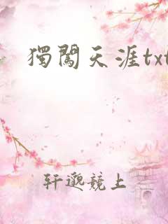 独闯天涯txt