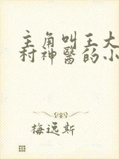 主角叫王大春乡村神医的小说