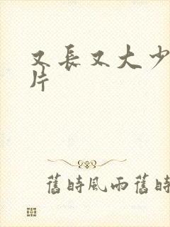 又长又大少妇淫片