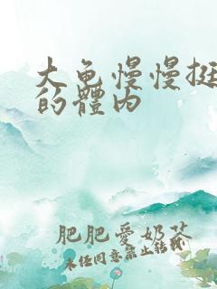大龟慢慢挺进我的体内