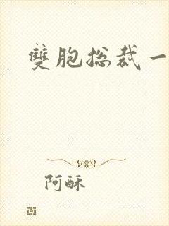 双胞总裁一个妻