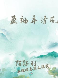 盈袖弄清风