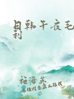 日韩午夜毛片福利