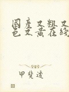 国产又粗又猛又色又黄在线