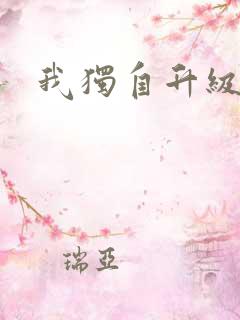 我独自升级小说