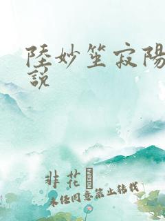 陆妙笙寂阳朔小说