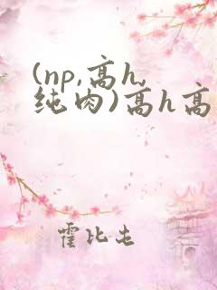 (np,高h,纯肉)高h高辣笔趣阁