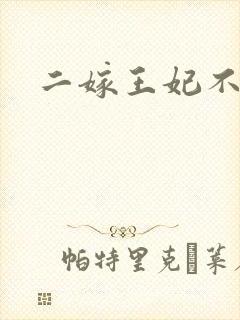 二嫁王妃不好惹