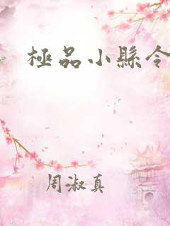 极品小县令下载