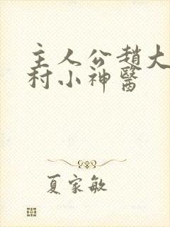 主人公赵大宝乡村小神医