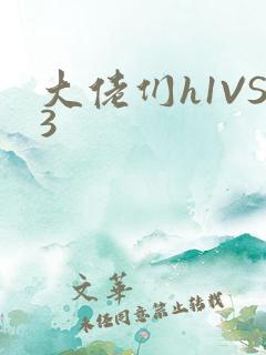 大佬们h1VS3