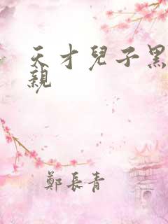 天才儿子黑道娘亲