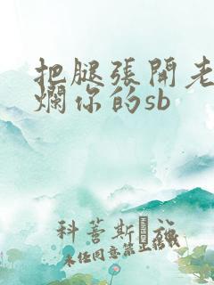 把腿张开老子臊烂你的sb