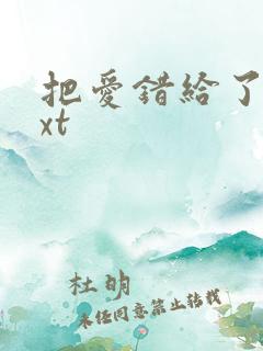 把爱错给了你txt