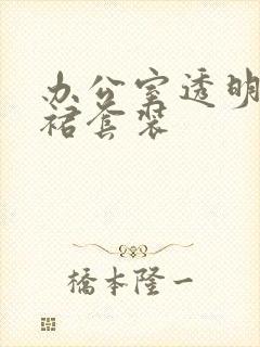 办公室透明半身裙套装