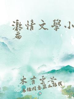 激情文学小说短篇