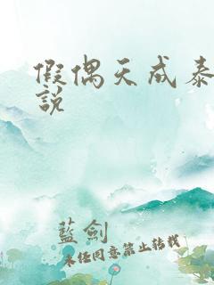 假偶天成泰剧小说