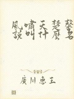 风啸天楚馨月小说叫什么名字
