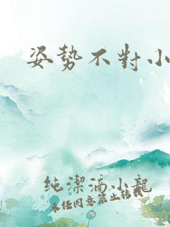 姿势不对小说