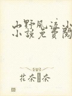 山野风流小神医小说免费阅读下载