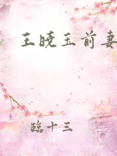 王晓玉前妻