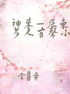 神墓—辰东免费多人有声小说