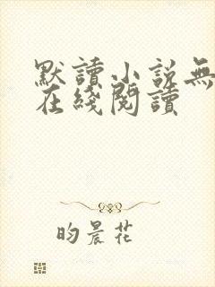 默读小说无删减在线阅读