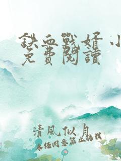 铁血战婿 小说免费阅读