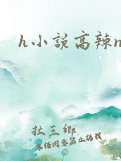 h小说高辣np