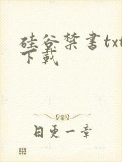 硅谷禁书txt下载