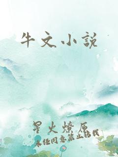 牛文小说