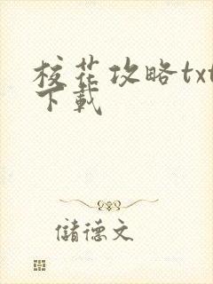 校花攻略txt下载