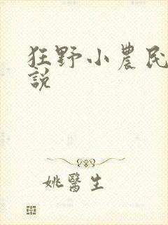 狂野小农民 小说