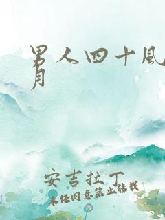 男人四十风花雪月