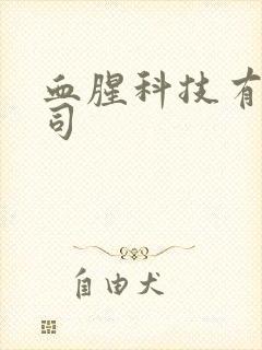 血腥科技有限公司