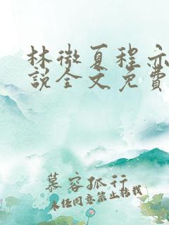 林微夏程亦风小说全文免费