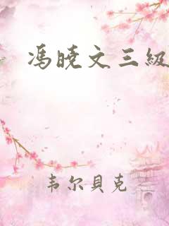 冯晓文三级
