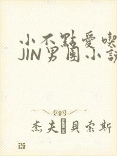 小不点爱吃肉混JIN男团小说