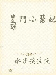 农门小医妃 小说