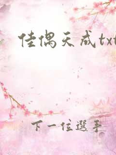 佳偶天成txt