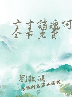 寸寸销魂何生祥全本免费